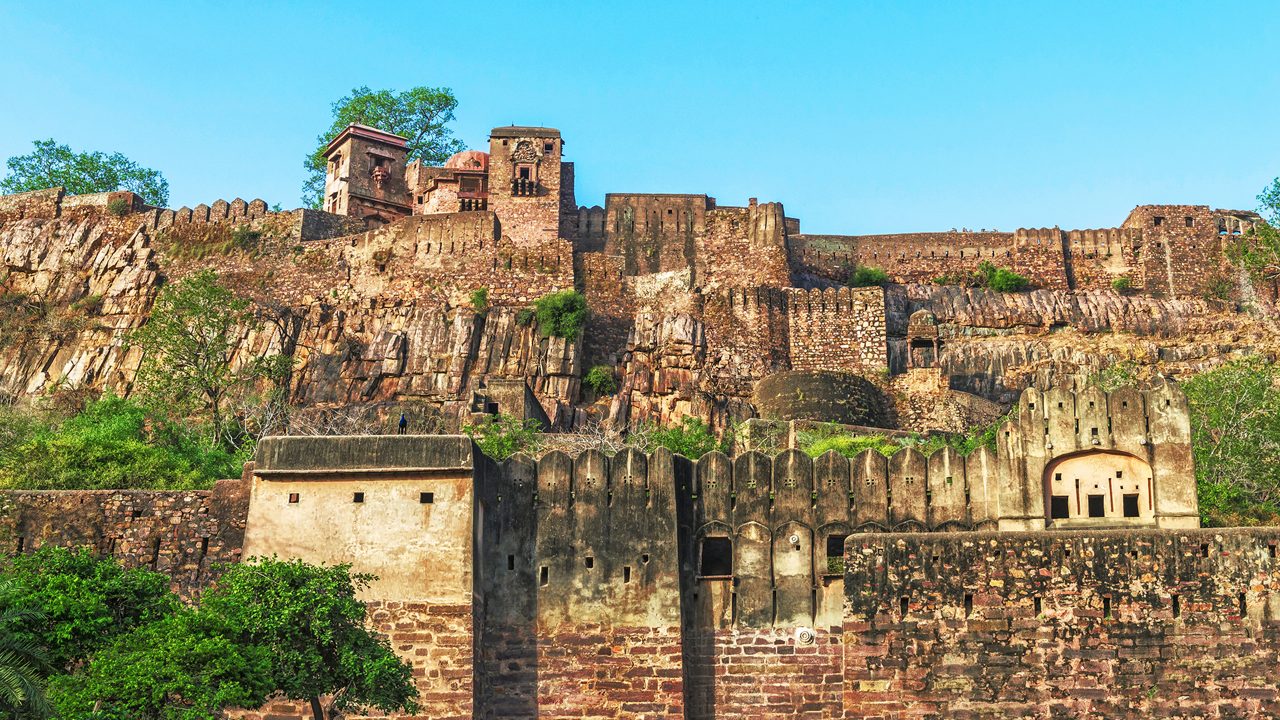 Ranthambore Wildlife Tour